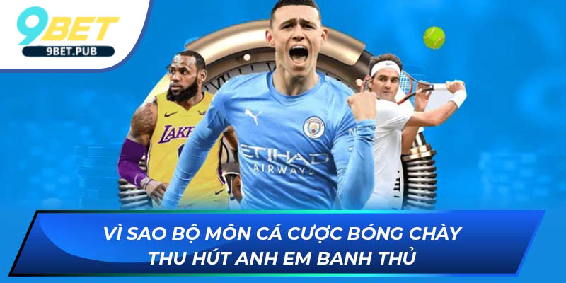 Vì sao bộ môn cá cược bóng chày thu hút anh em banh thủ