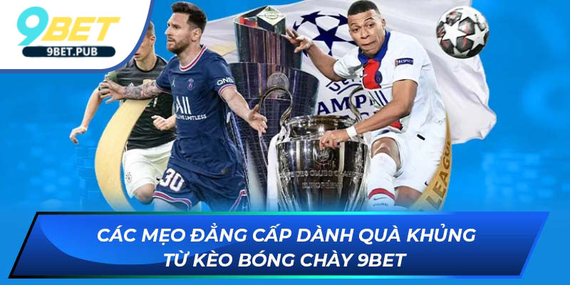 Các mẹo đẳng cấp dành quà khủng từ kèo bóng chày 9bet