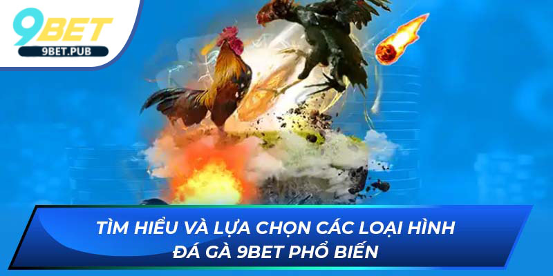 Tìm hiểu và lựa chọn các loại hình Đá Gà phổ biến