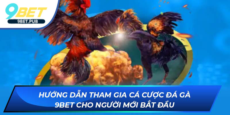 Hướng dẫn tham gia cá cược đá gà cho người mới bắt đầu